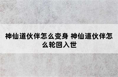 神仙道伙伴怎么变身 神仙道伙伴怎么轮回入世